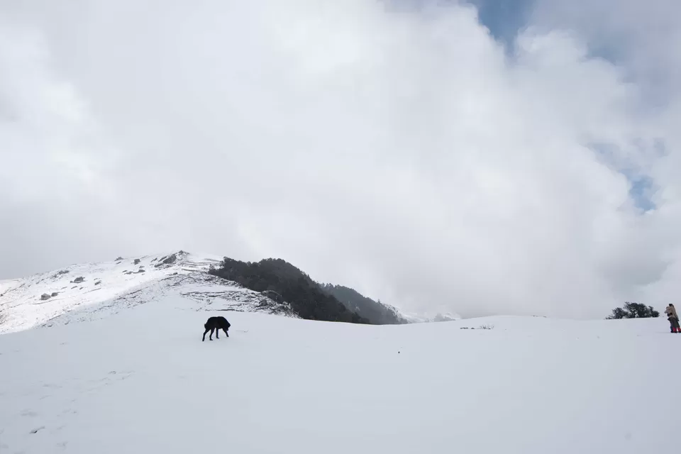 Photo of Nanda Devi, Chamoli, Uttarakhand, India by My adventure planet