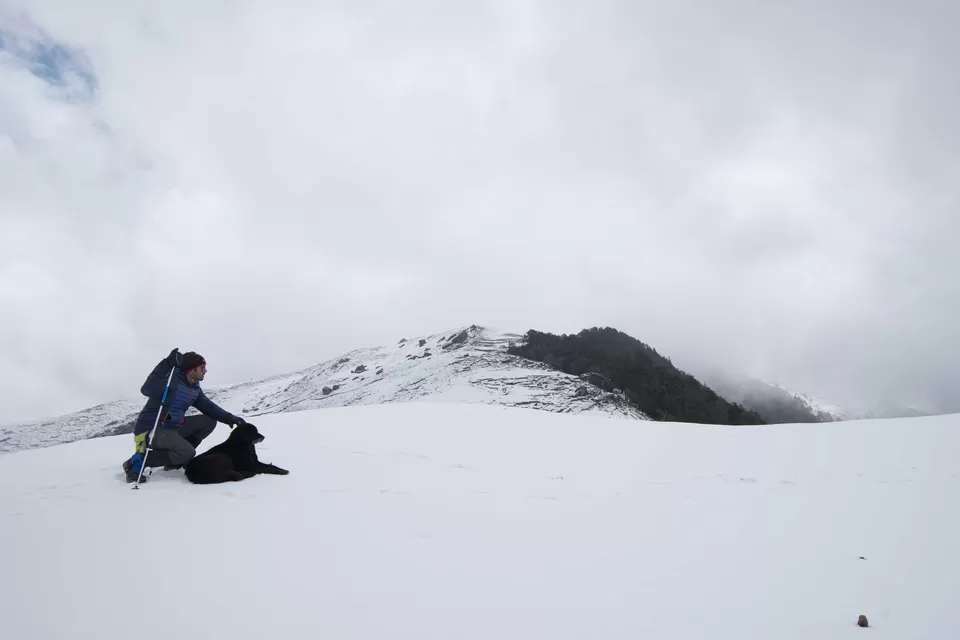 Photo of Nanda Devi, Chamoli, Uttarakhand, India by My adventure planet