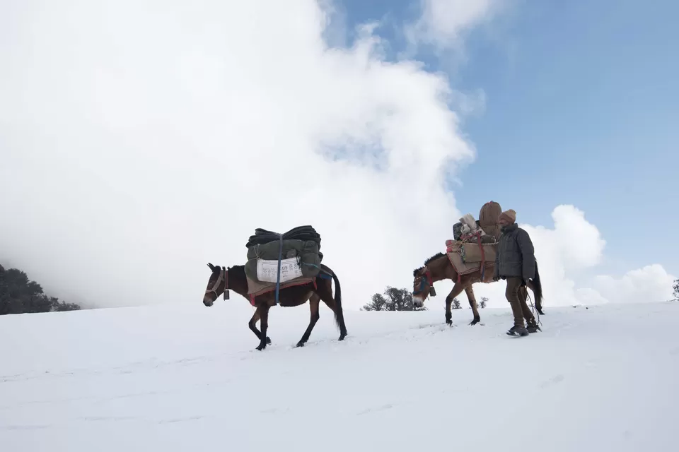 Photo of Nanda Devi, Chamoli, Uttarakhand, India by My adventure planet
