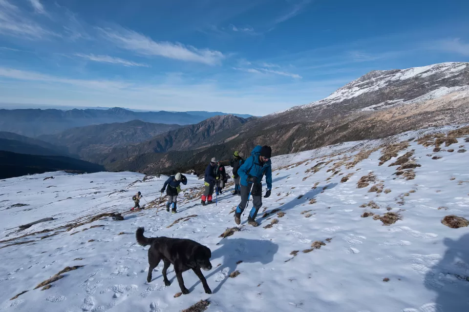Photo of Nanda Devi National Park, Joshimath, Uttarakhand, India by My adventure planet