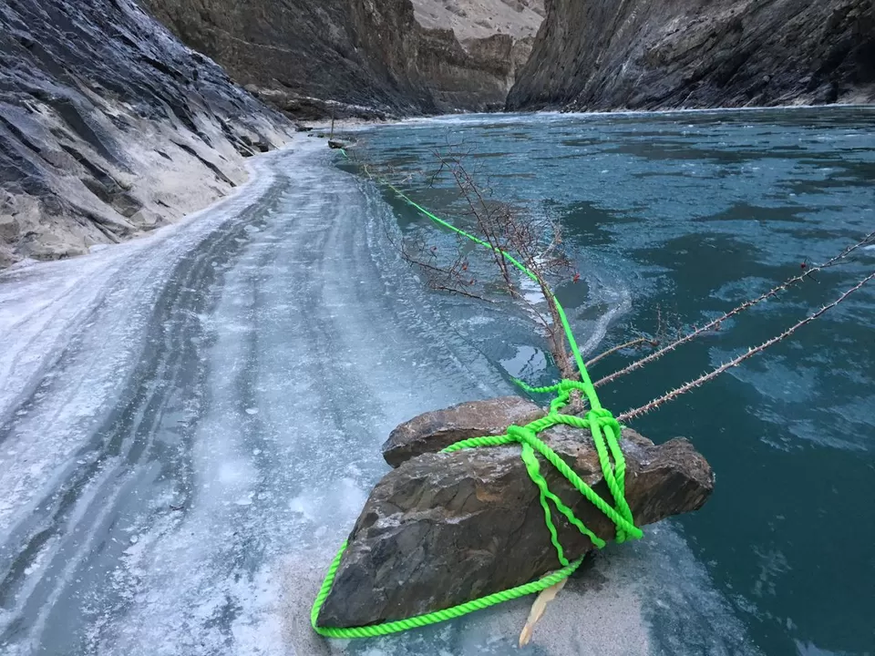 Photo of Leh by TRIPACATION