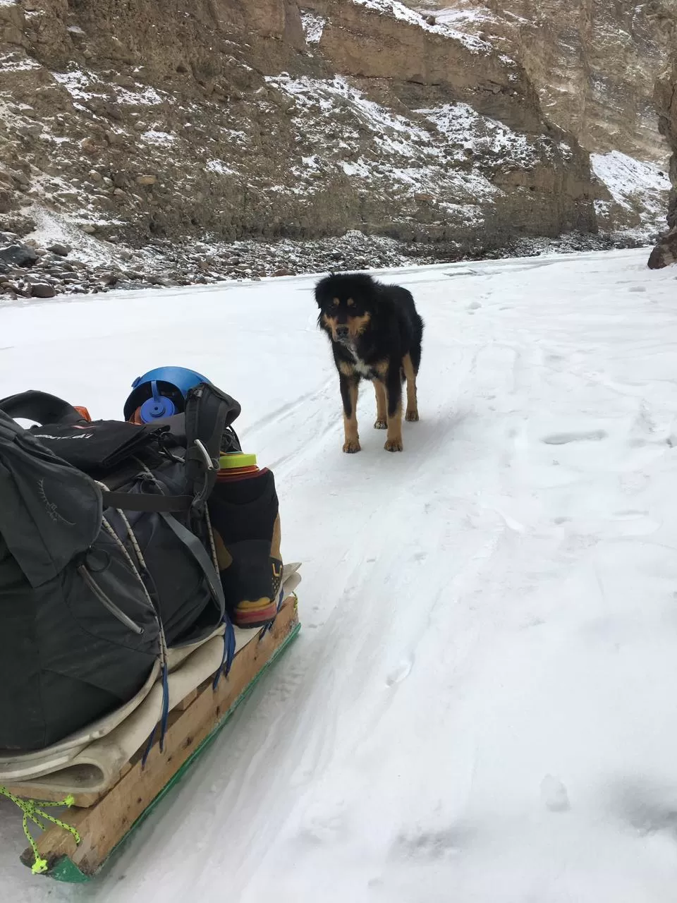 Photo of Leh by TRIPACATION