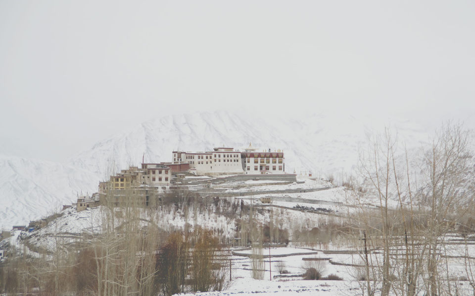 Photo of Ladakh Winter Special by TRIPACATION