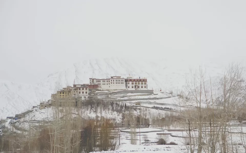 Photo of Leh by TRIPACATION