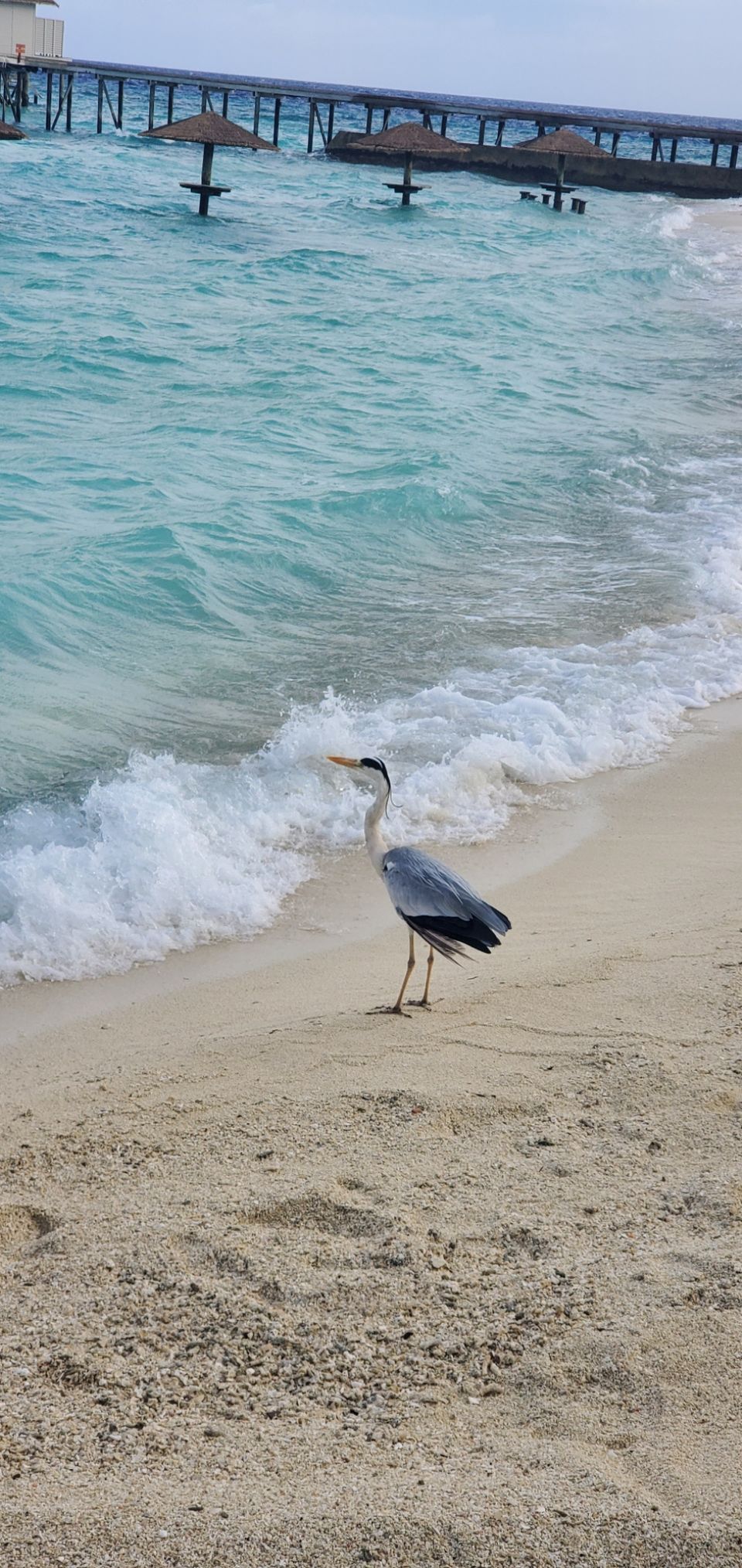 Photo of Exotic Honeymoon Get away!!! "Sky above Sand below peace within" by Vishu Vishwaroop