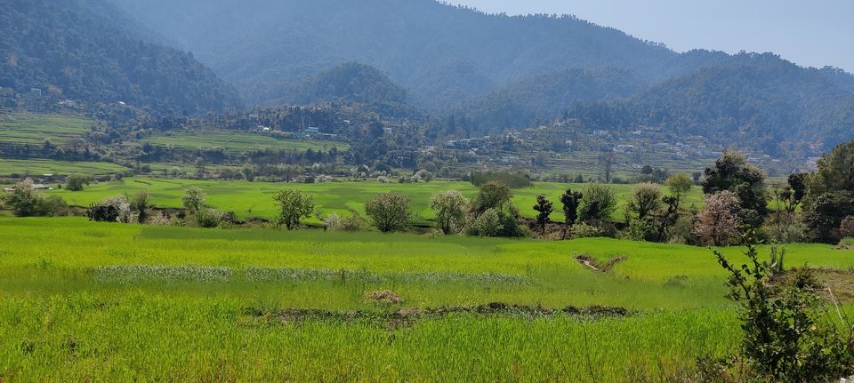 Photo of Kausani - Magical colors of Nature with Panaromic Himlayan view by Travel Enthusiastic