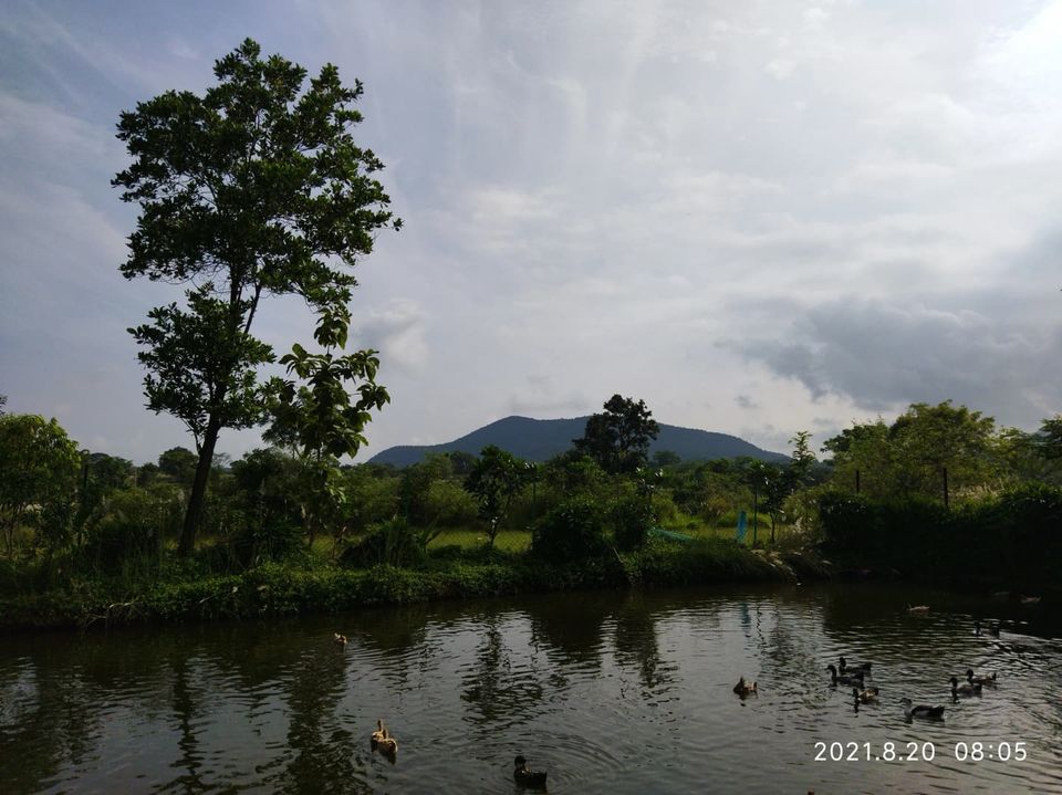Photo of Shankarda, Jharkhand: an offbeat nature's treasure trove by Explorer Pals
