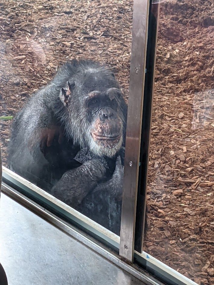 Photo of Oregon Zoo, Southwest Canyon Road, Portland, OR, USA by Ethan Parr