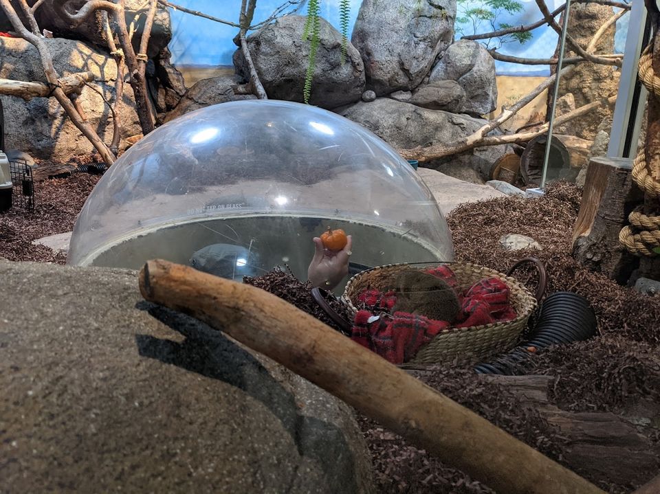 Photo of Oregon Zoo, Southwest Canyon Road, Portland, OR, USA by Ethan Parr