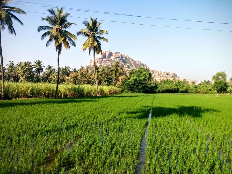 Photo of Anegundi.. The twin city of Hampi 6/26 by Sindhu