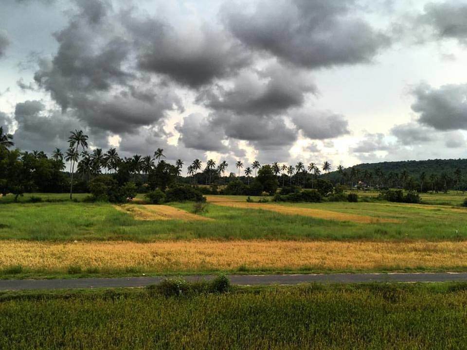 Photo of The Real Face of Goa by Monalisa Borkakoty