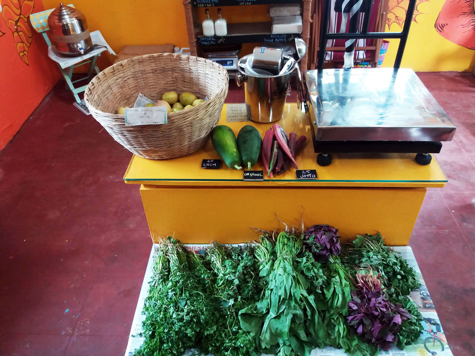 Photo of The Ecoposro way of life is here. 6/9 by Monalisa Borkakoty