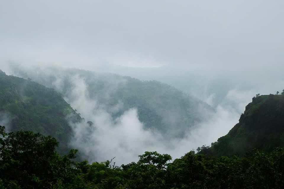 Photo of Herping Trail- AMBOLI 4/8 by Shreya Dave