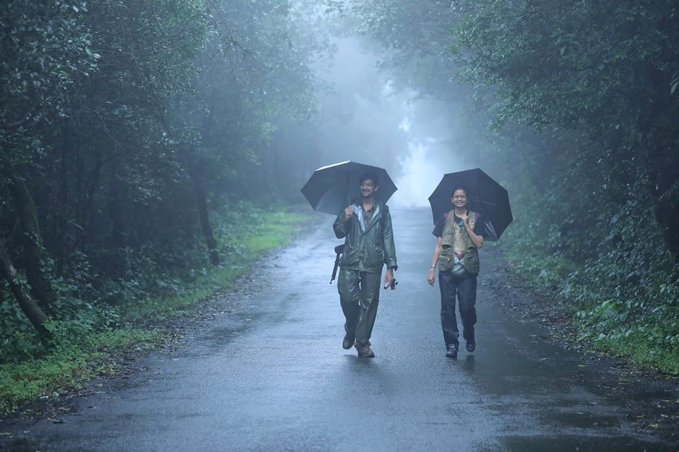 Photo of Herping Trail- AMBOLI 8/8 by Shreya Dave