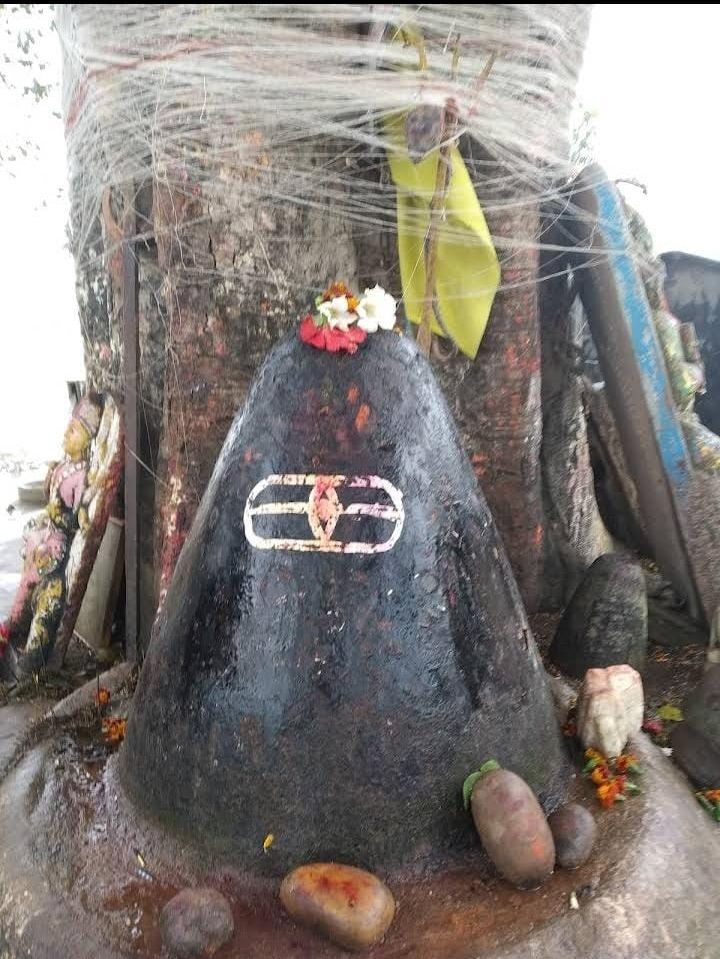Photo of करें ट्रिप प्लान, त्रेतायुग के उस पौराणिक, धार्मिक स्थल की जहां पर माँ सीता धरती में समाहित हुई थी! by Indic Traveler