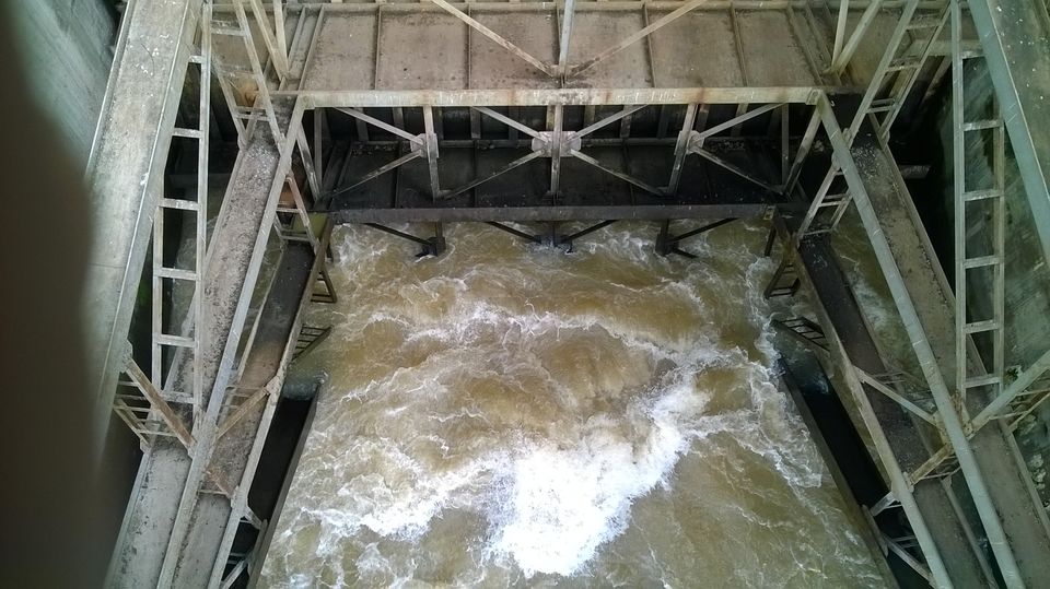 Photo of Narmada Canal, Narmada, Gujarat, India by Dheeraj Gava