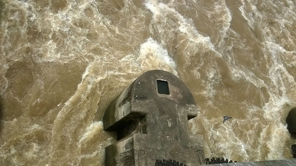 Photo of Narmada Canal, Narmada, Gujarat, India by Dheeraj Gava