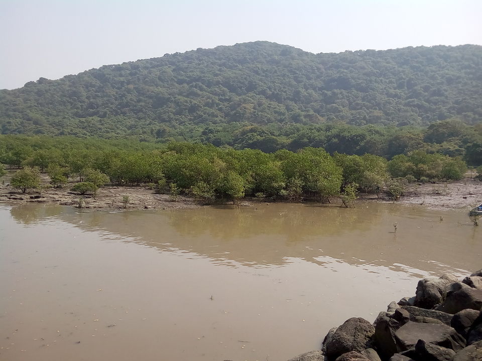 Photo of Elephanta Island, Navi Mumbai, Maharashtra, India by Dheeraj Gava