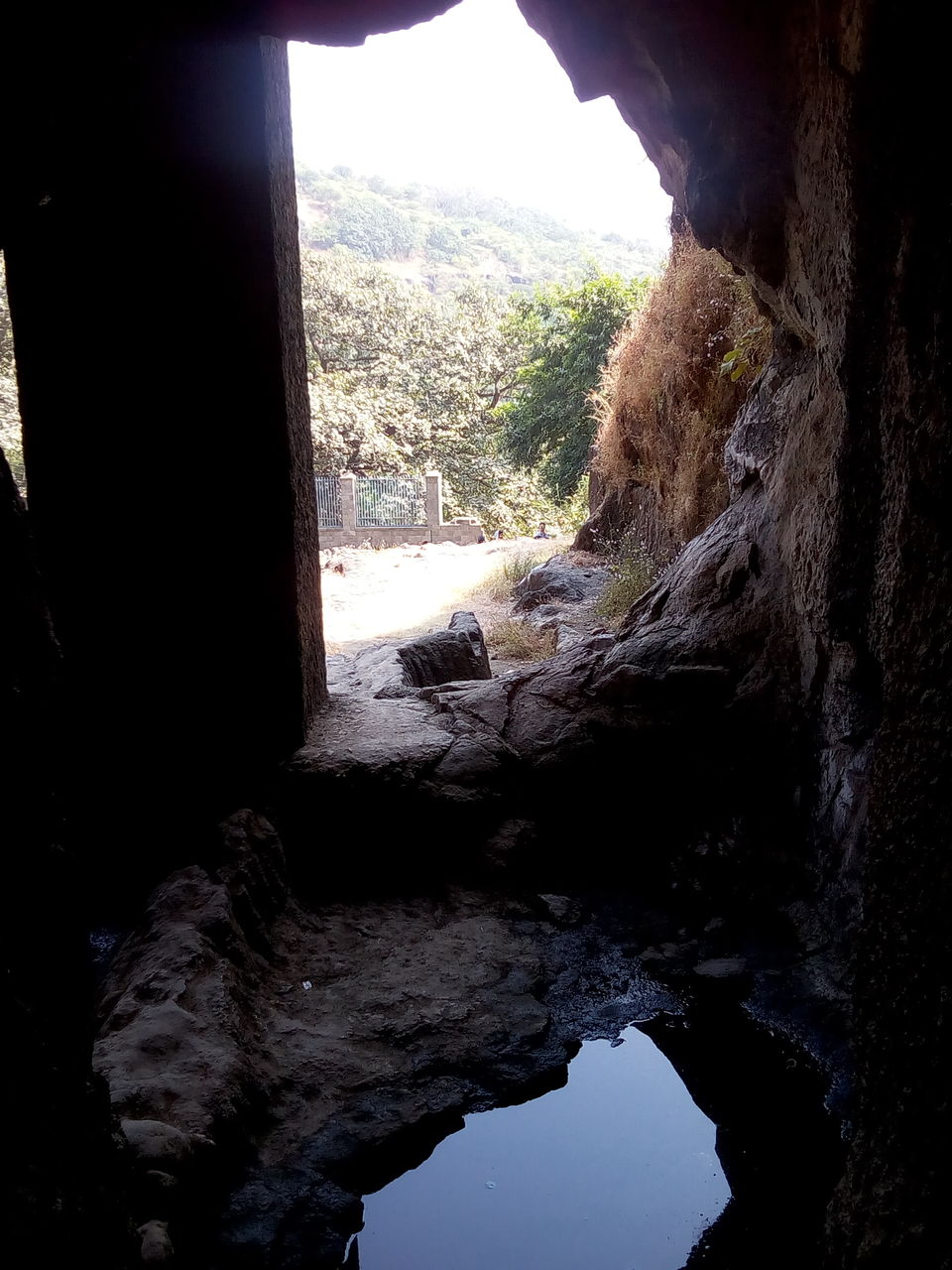 Photo of Elephanta caves- Gateway with Nature and history by Dheeraj Gava