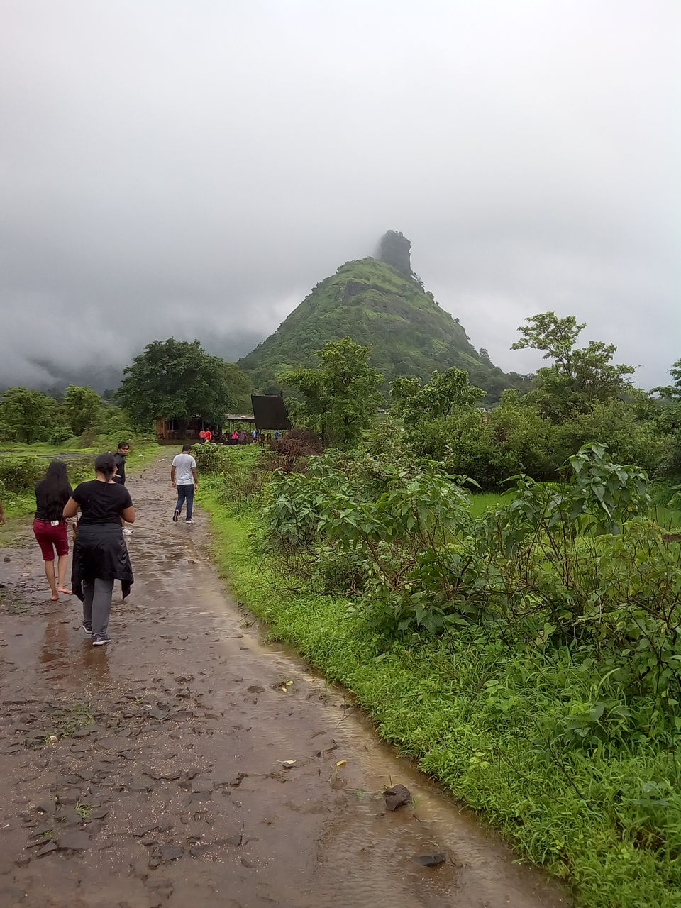 Photo of My First Monsoon trek- Kothaligad Fort by Dheeraj Gava