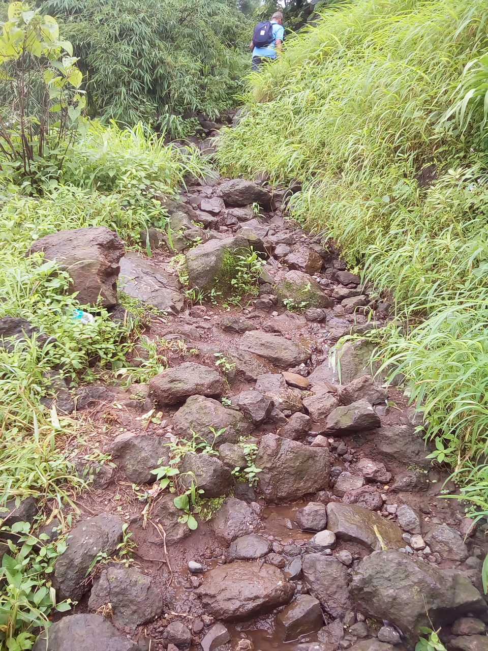 Photo of My First Monsoon trek- Kothaligad Fort by Dheeraj Gava
