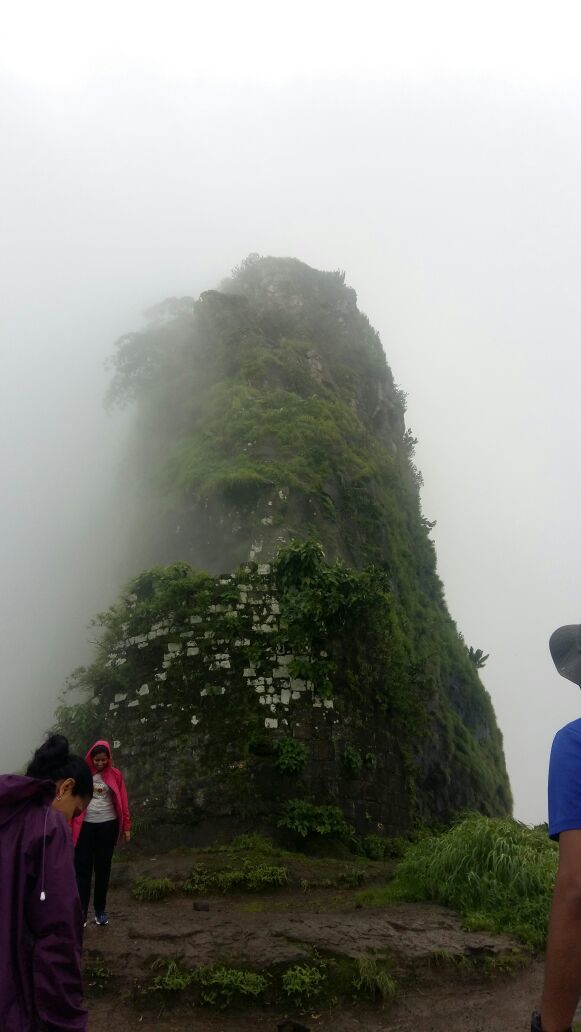 Photo of My First Monsoon trek- Kothaligad Fort by Dheeraj Gava