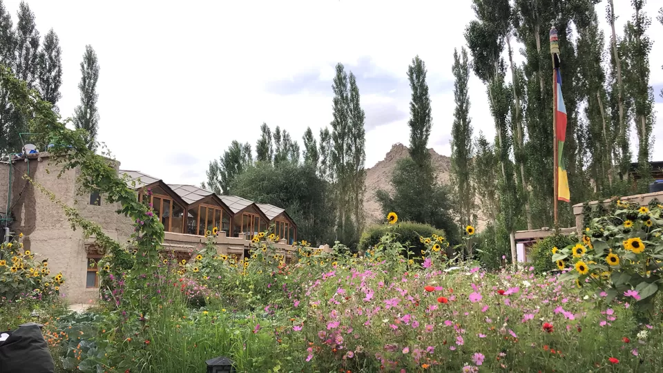 Photo of Ladakh Sarai Resort, Leh by vineet chopal