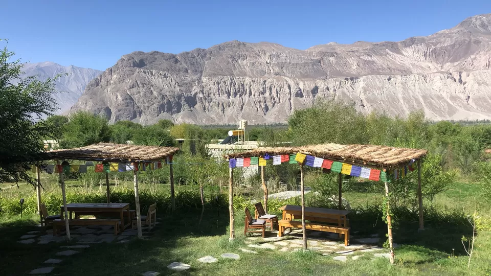 Photo of Lchang Nang Retreat- The House of Trees by vineet chopal