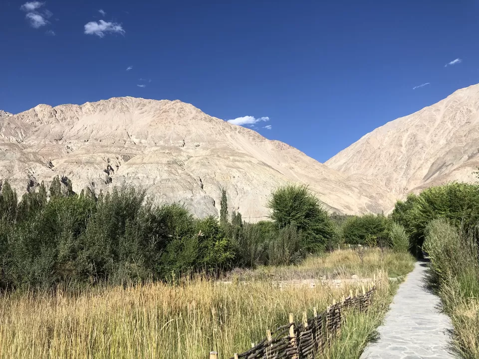 Photo of Lchang Nang Retreat- The House of Trees by vineet chopal