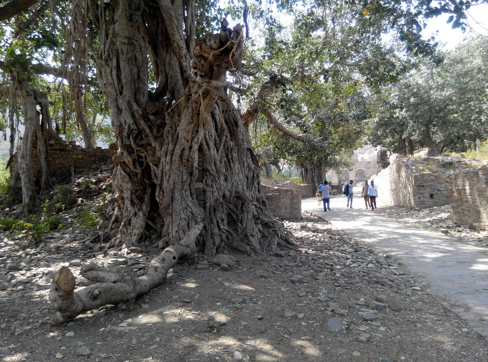 Photo of Delhi--Sariska--Bhangarh Bike Trip 3/19 by Rajesh Sharma