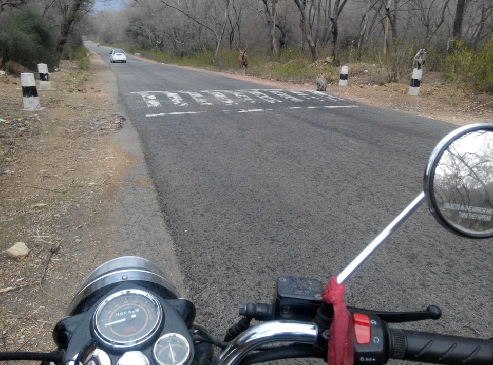 Photo of Delhi--Sariska--Bhangarh Bike Trip 7/19 by Rajesh Sharma