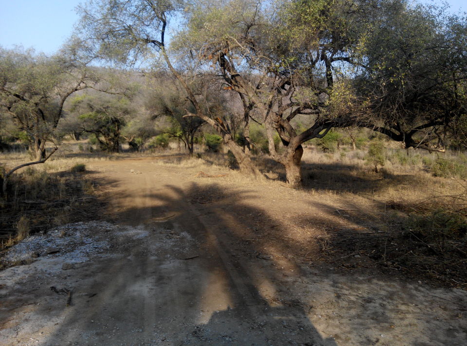 Photo of Delhi--Sariska--Bhangarh Bike Trip 8/19 by Rajesh Sharma