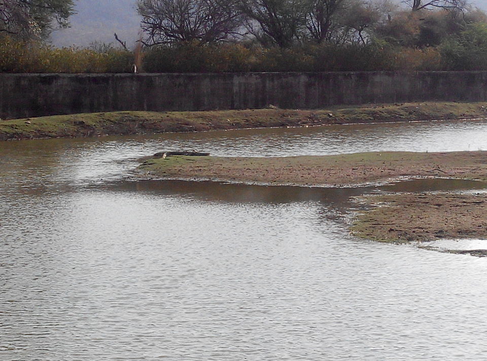 Photo of Delhi--Sariska--Bhangarh Bike Trip 11/19 by Rajesh Sharma