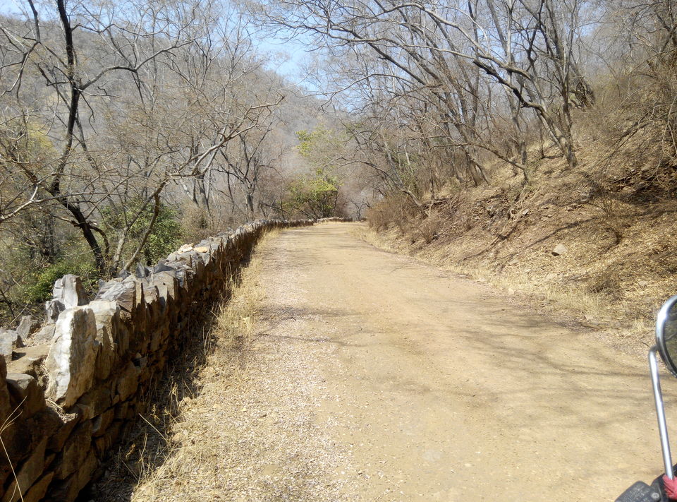 Photo of Delhi--Sariska--Bhangarh Bike Trip 18/19 by Rajesh Sharma