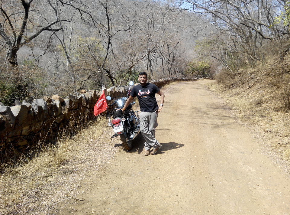 Photo of Delhi--Sariska--Bhangarh Bike Trip 19/19 by Rajesh Sharma