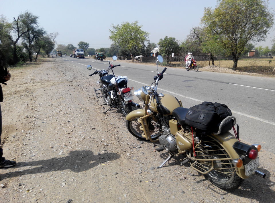 Photo of A day drive to Keoladeo National Park 4/18 by Rajesh Sharma