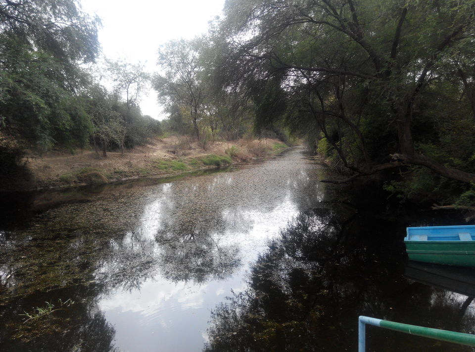 Photo of A day drive to Keoladeo National Park 6/18 by Rajesh Sharma
