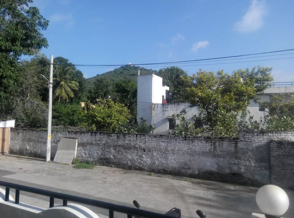 Photo of Backpacker Panda, Dewali, Panchwati, Udaipur, Rajasthan, India by Rajesh Sharma