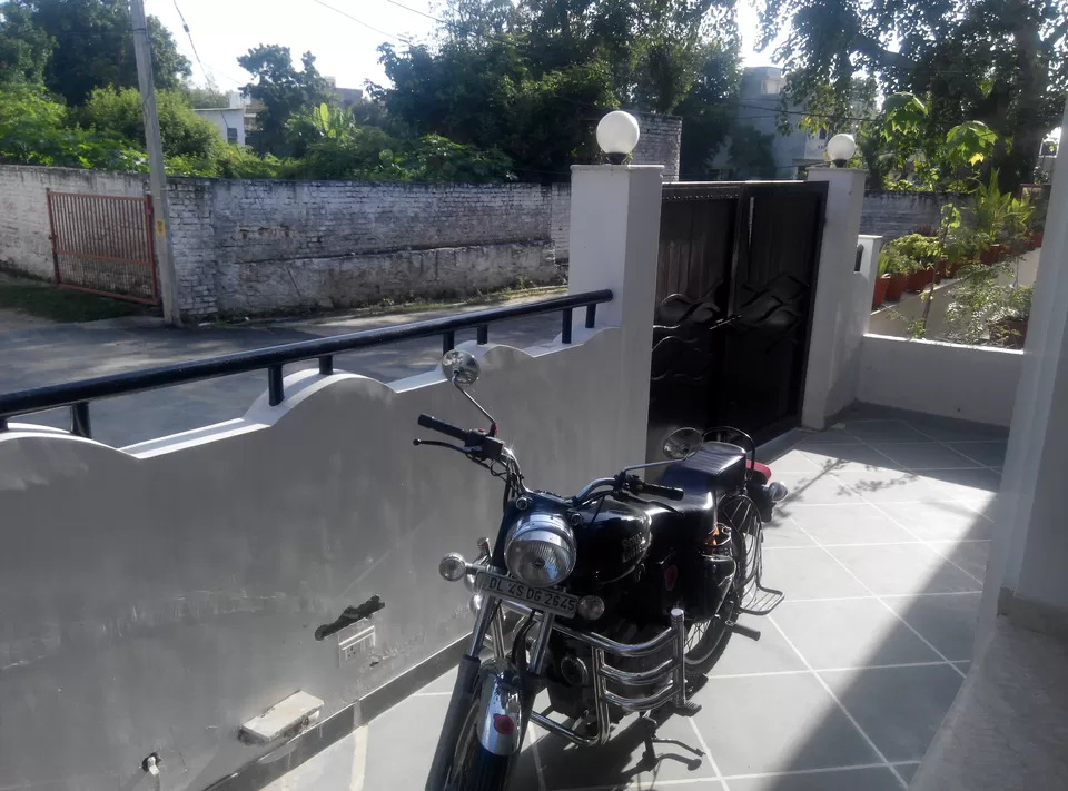 Photo of Backpacker Panda, Dewali, Panchwati, Udaipur, Rajasthan, India by Rajesh Sharma