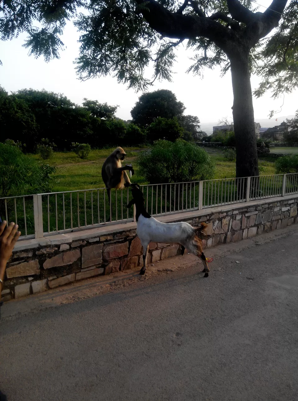 Photo of Chittorgarh Fort, Chittorgarh, Rajasthan, India by Rajesh Sharma