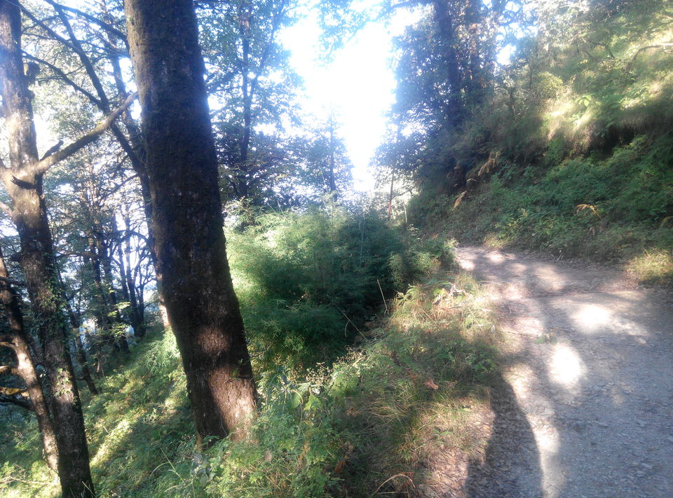 Photo of It'S Not the Destination-------- Bike Ride New Delhi---Bhimtal---New Delhi by Rajesh Sharma