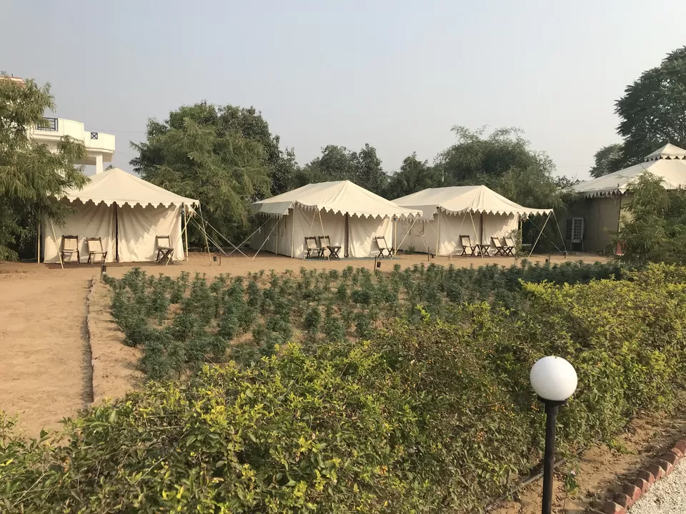 Photo of Lohana Village Resort, Village, Ganahera, Pushkar, Rajasthan, India by Rajesh Sharma