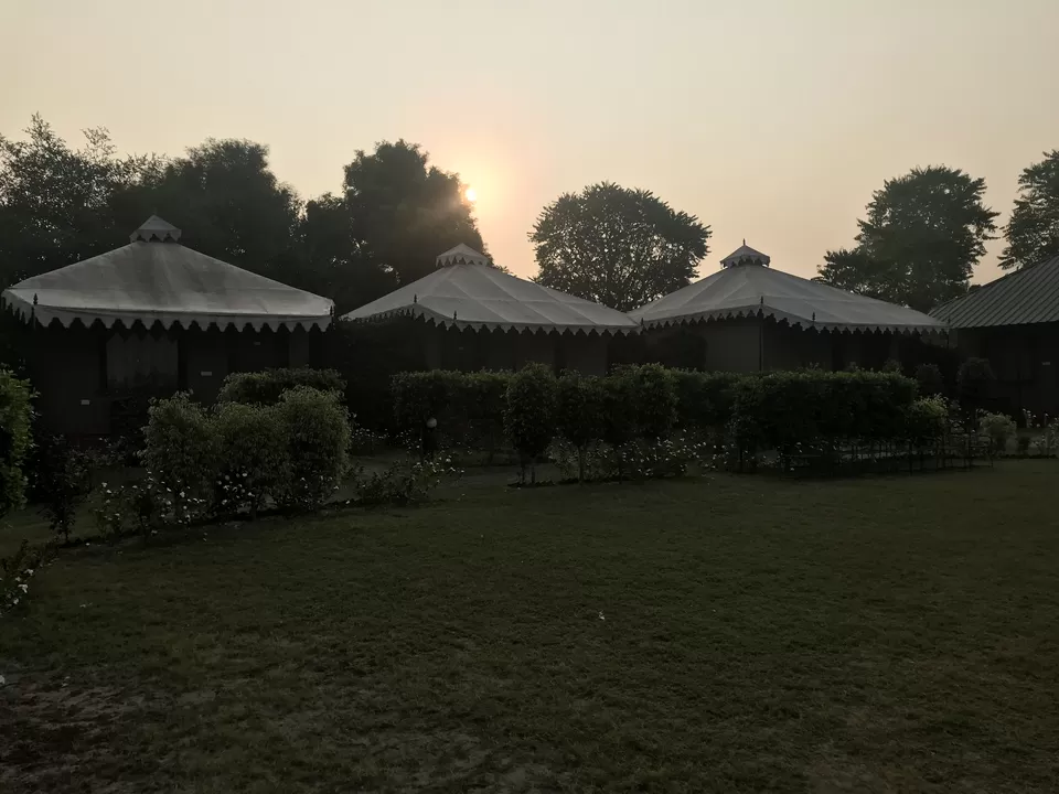 Photo of Lohana Village Resort, Village, Ganahera, Pushkar, Rajasthan, India by Rajesh Sharma