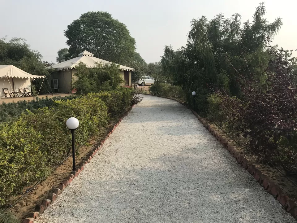 Photo of Lohana Village Resort, Village, Ganahera, Pushkar, Rajasthan, India by Rajesh Sharma