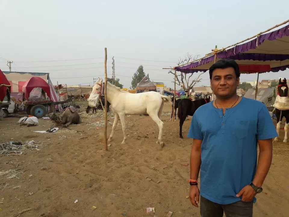 Photo of Mela Ground, Pushkar, Rajasthan, India by Rajesh Sharma