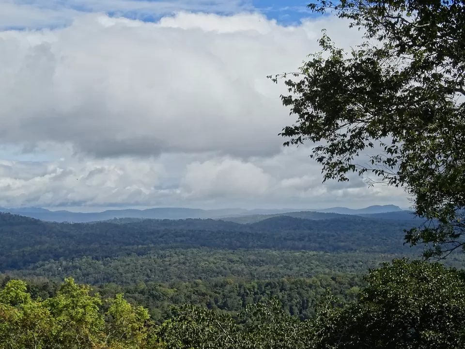 Photo of Coorg, Karnataka, India by Shivani Gupta