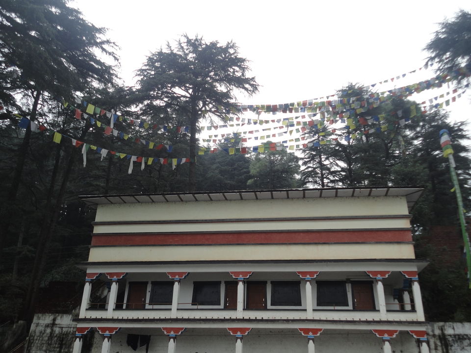 Photo of Tibetan Freedom Struggle in McLeod Ganj 4/55 by Batuta's Gluttony