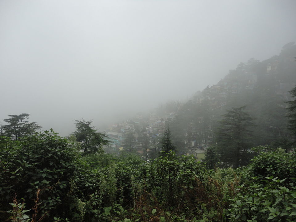 Photo of Tibetan Freedom Struggle in McLeod Ganj 7/55 by Batuta's Gluttony