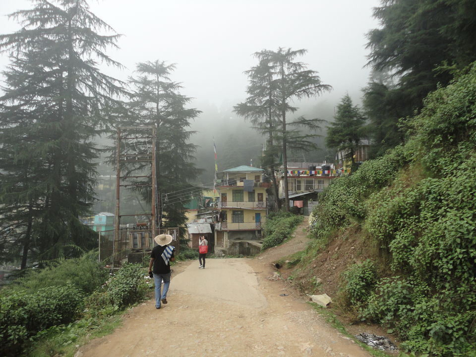 Photo of Tibetan Freedom Struggle in McLeod Ganj 8/55 by Batuta's Gluttony