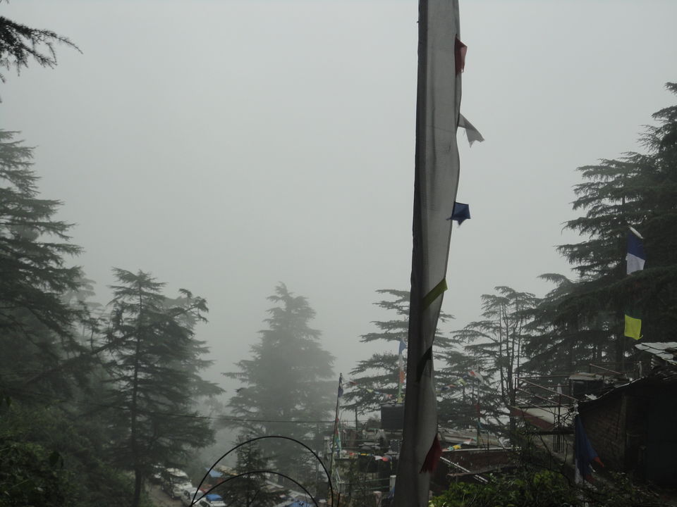 Photo of Tibetan Freedom Struggle in McLeod Ganj 12/55 by Batuta's Gluttony